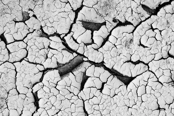 Terre fissurée sèche fond texturé . — Photo