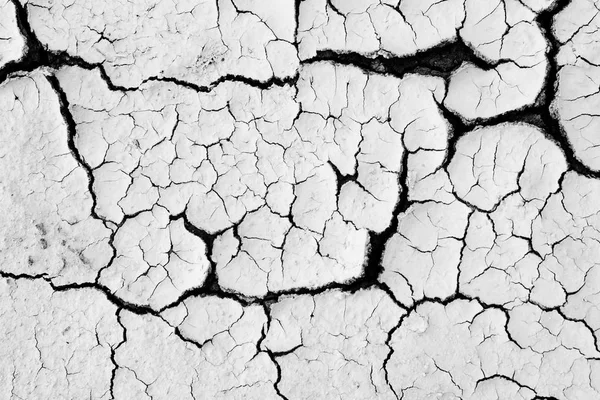 Dry cracked earth textured background. — Stock Photo, Image