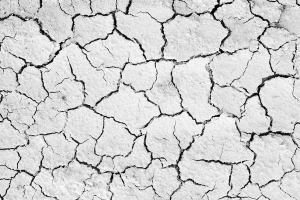 Dry cracked earth textured background. — Stock Photo, Image