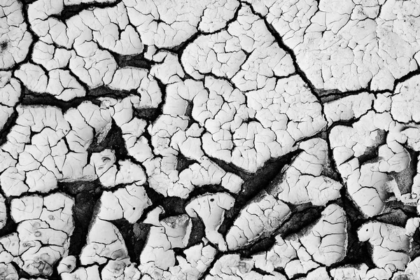 Dry cracked earth textured background. — Stock Photo, Image