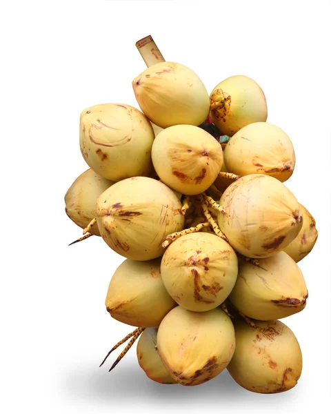 Fresh young coconuts isolated with clipping path. — Stock Photo, Image