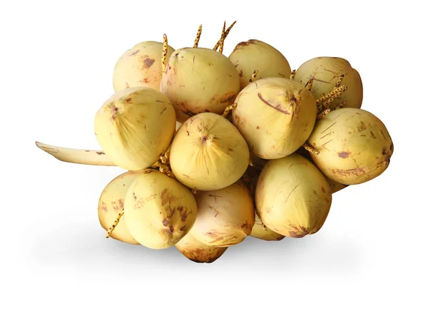 Fresh young coconuts isolated with clipping path. — Stock Photo, Image