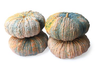 Balkabağı beyaz kırpma yolu ile izole.