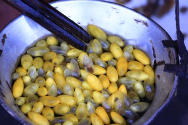 El yapımı Ipek süreci sıcak pot sarı İpekböceği koza kaynatın. S