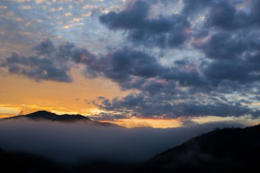 dağ tropikal yağmur ormanları gölgelik, Güney Thailan,