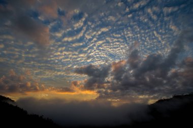 dağ tropikal yağmur ormanları gölgelik, Güney Thailan,
