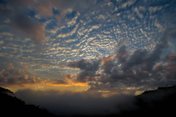 dağ tropikal yağmur ormanları gölgelik, Güney Thailan,