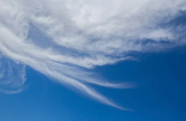 The pattern of clouded fluffy feather. On the blue backdrop Ther — Stock Photo, Image