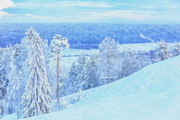 Snow-covered trees on the ski slope against the backdrop of the — Stock Photo, Image