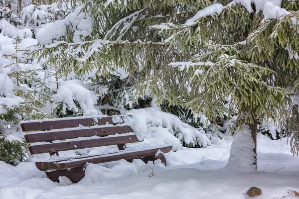 Скамейка под деревом, зимой заснеженный лес . — стоковое фото