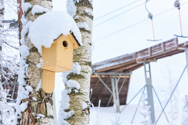 A bird feeder on the background of a ski  elevator in the winter — Stock Photo, Image