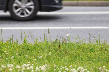 Bir karayolunun arka planına karşı bir yaz çim parçası.