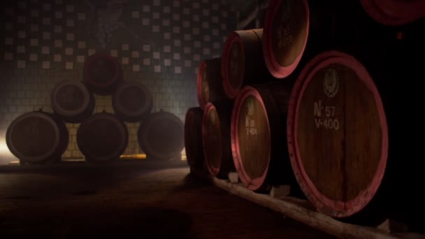 Wine cellar in winery — Stock Video