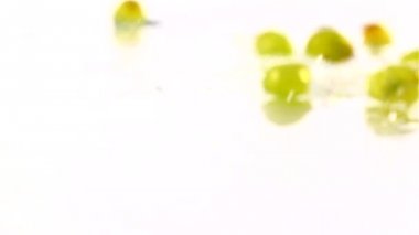 suya düşen üzümler