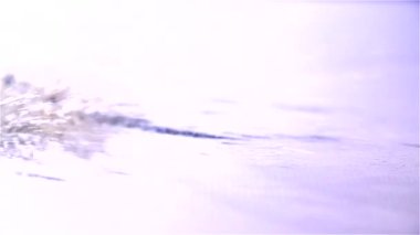 suya düşen üzümler