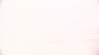 suya düşen üzümler