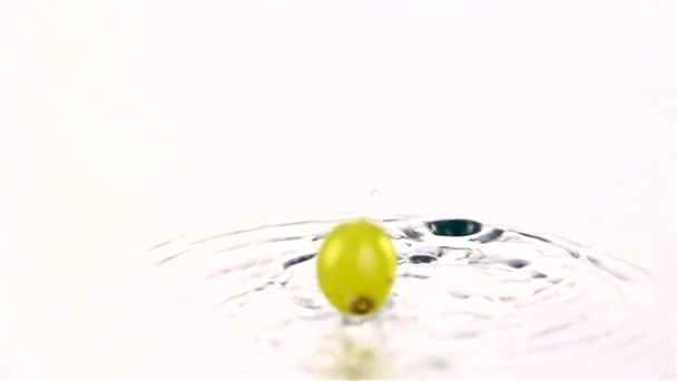 Grapes  falling in water — Stock Video