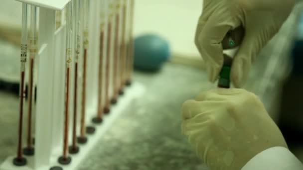 Inside the medical laboratory — Stock Video