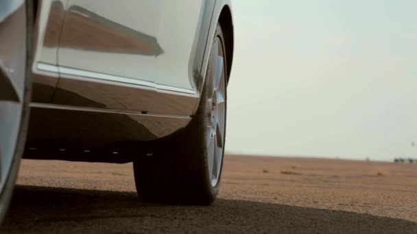 Chica guardaespaldas saliendo del coche — Vídeos de Stock