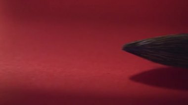 Painbrush bir hat yakın çekim makro için