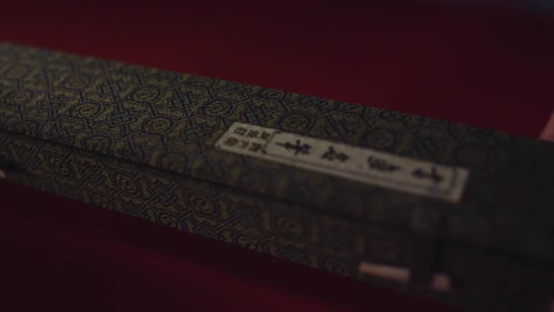 Pole i painbrush, kaligrafii szczegół makra — Wideo stockowe