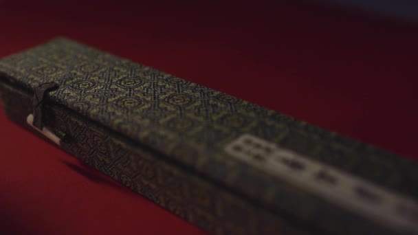 Pole i painbrush, kaligrafii szczegół makra — Wideo stockowe