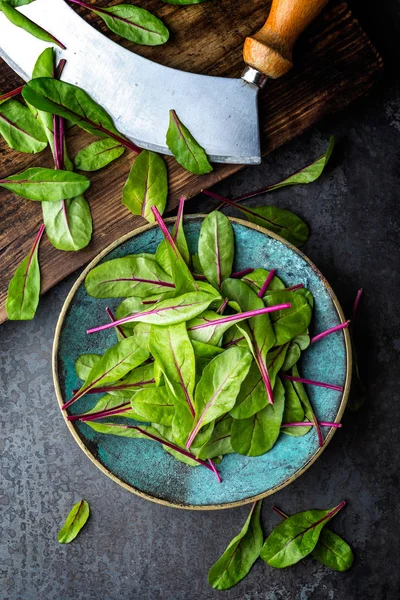 Verse Mangold Verlaat Zwitsers Snijbiet Blad Bieten — Stockfoto