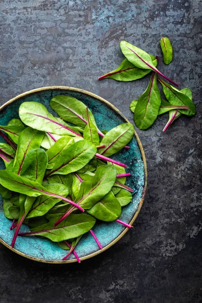 Verse Mangold Verlaat Zwitsers Snijbiet Blad Bieten — Stockfoto