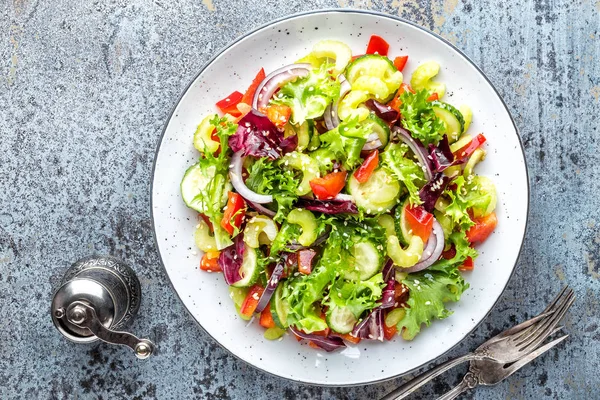 Vers Fruit Salade Van Komkommer Bleekselderij Paprika Frize Sla Rode — Stockfoto