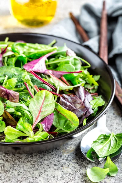 Insalata Fresca Mix Spinaci Baby Foglie Rucola Basilico Bietola Agnello — Foto Stock