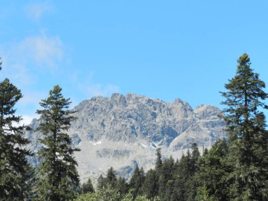 Her zaman birlikte seyahat