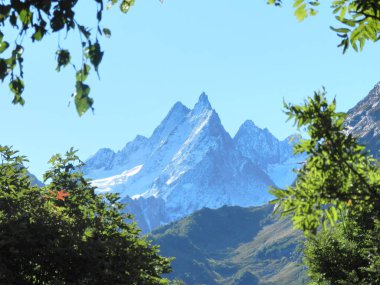 Her zaman birlikte seyahat