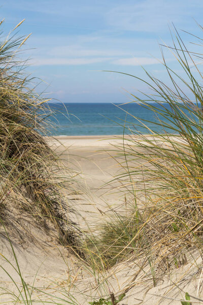 View over the sea from dunes covered in lyme grass