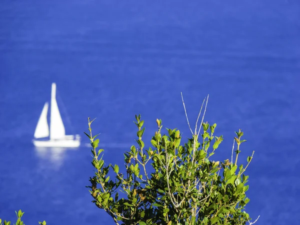 Bílá plachetnice v moři. Mořské pozadí v letní sezóně — Stock fotografie