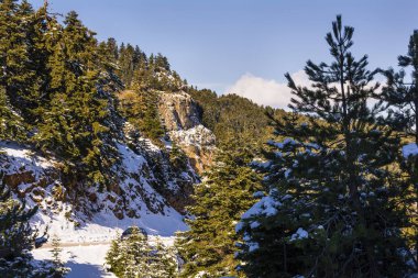 Ziria dağın karla kaplı bir kış günü, Güney Peloponnese, Yunanistan