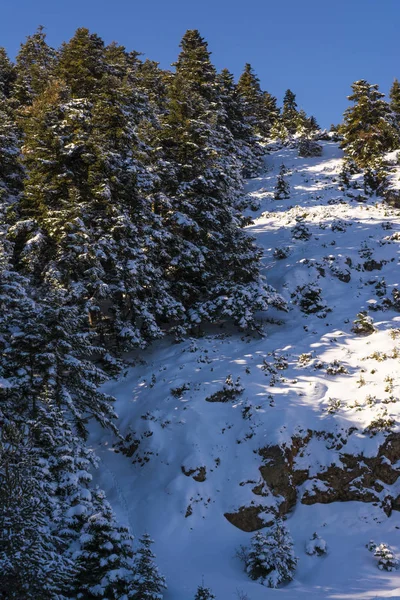 Ziria mountain bedeckt mit Schnee an einem Wintertag, Südpeloponnes, Griechenland — Stockfoto