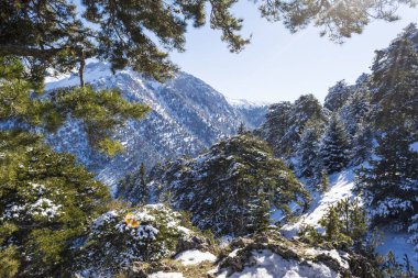 Ziria dağın karla kaplı bir kış günü, Güney Peloponnese, Yunanistan