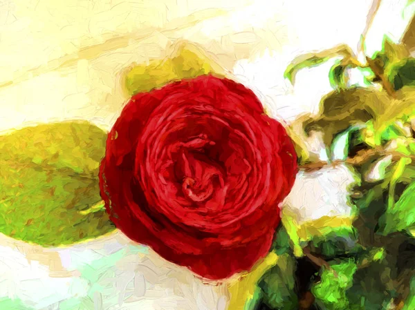 Digitaal schilderen van een rode roos — Stockfoto