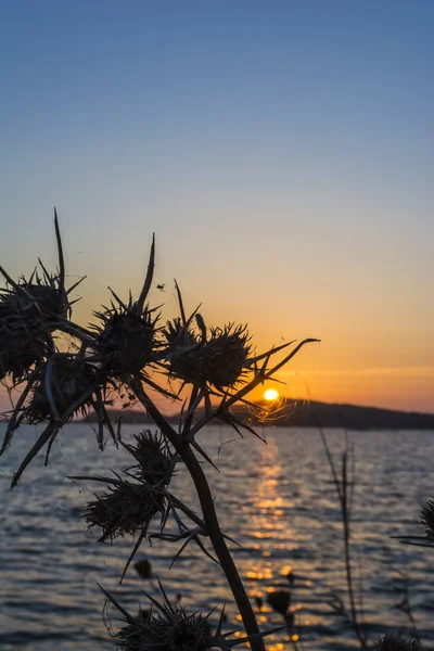 Sunset at Gialova lagoon, Messinia, Greece