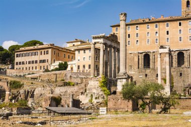 Roma Forumu, Roma, İtalya.