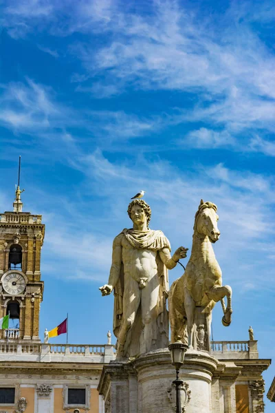 Estatua de Pólux con su caballo en la Piazza del Campidoglio en el Capitolio, Roma, Italia — Foto de Stock