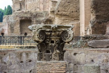 Caracalla hamamları - Terme di Caracalla kalıntıları