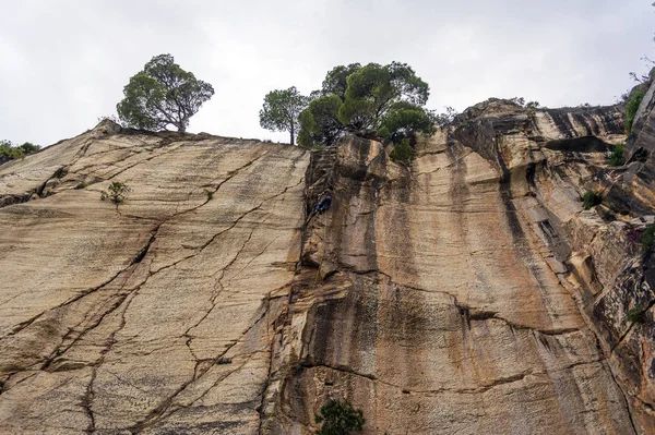 Penteli Greece May 2019 Young Man Climbs Rocky Wall Davelis — Stock Photo, Image