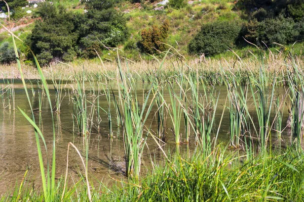 Lago Presa Rapentosa Ática Grecia — Foto de Stock