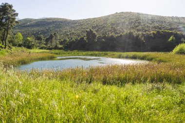 Yunanistan 'ın Attica kentindeki Rapentosa barajında göl.