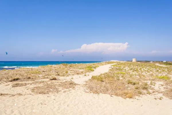 Playa Agios Ioannis Isla Lefkas Grecia Coloridas Cometas Poder Extienden —  Fotos de Stock
