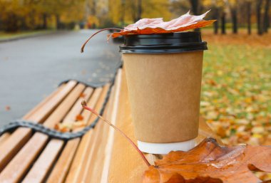 Parkta sonbahar, dışarıda sıcak içecek konsepti. Kapaklı ve parktaki bankta akçaağaç yaprağı olan bir fincan kahve.