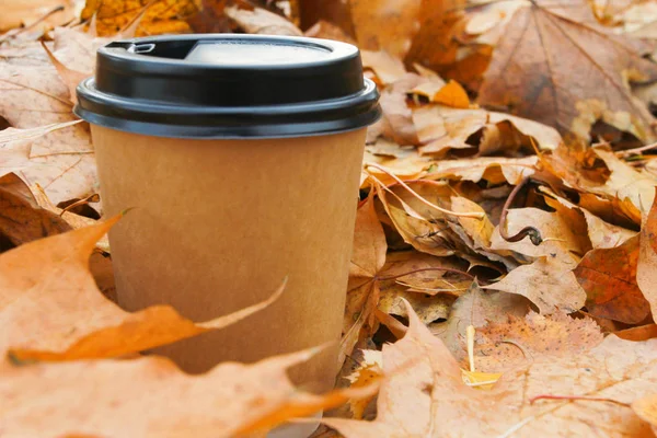 Paper cup of coffee with lid on park grass covered by fallen leaves. Autumn in park, hot drink outdoors concept