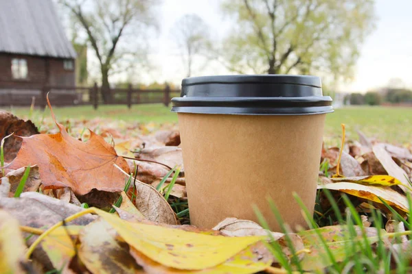 Paper cup of coffee with lid on park grass covered by fallen leaves. Country house in background. Autumn in park, hot drink outdoors concept