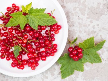 plaka beton arka planda kırmızı kuş üzümü